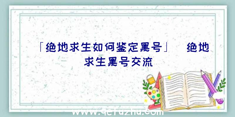 「绝地求生如何鉴定黑号」|绝地求生黑号交流